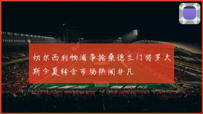 切尔西利物浦争抢桑德兰门将罗夫斯今夏转会市场热闹非凡