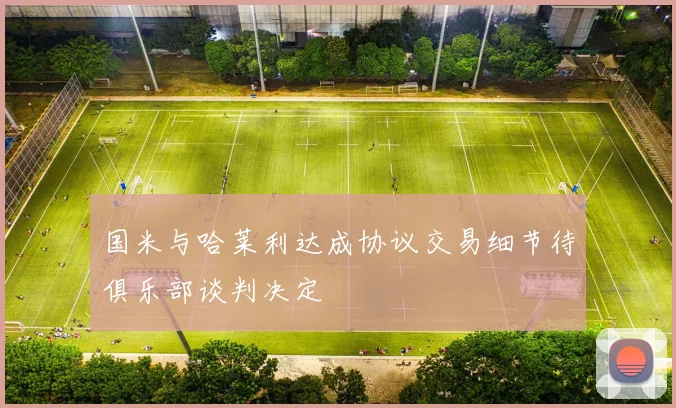 国米与哈莱利达成协议交易细节待俱乐部谈判决定