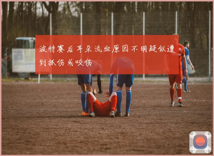 波特赛后耳朵流血原因不明疑似遭到抓伤或咬伤